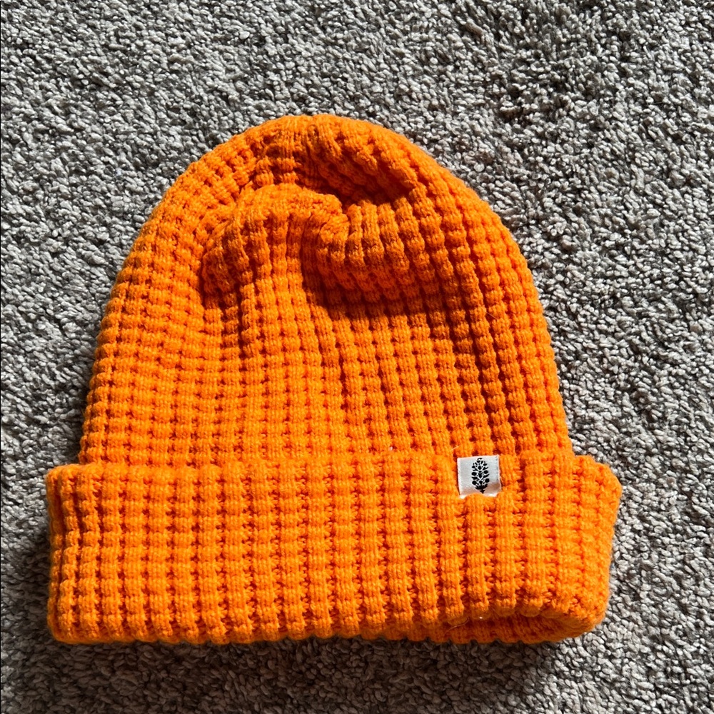 Free People Winter hat